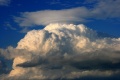 Pileus290707k_ 001k.jpg